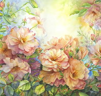 Barossa Chateau Artist in Residence - Accommodation Port Macquarie