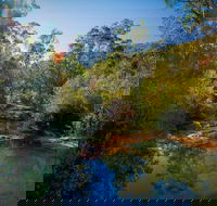 Bargo State Conservation Area - Accommodation Port Macquarie