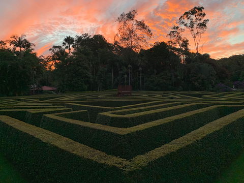 Bellingham Maze - Accommodation Port Macquarie 0