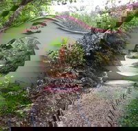 Black Dragon Gardens Wulong Yuan - Accommodation Port Macquarie