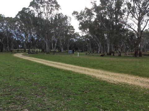 Black Cockatoo Bush Camp - Accommodation Port Macquarie 2