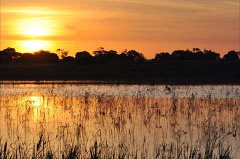 Bool Lagoon Game Reserve And Hacks Lagoon Conservation Park - Accommodation Port Macquarie 0