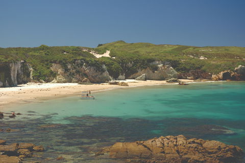 Broughton Island - Accommodation Port Macquarie 1