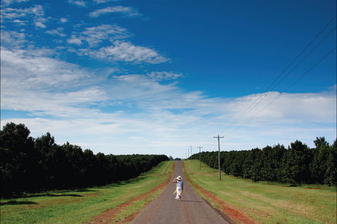 Bundaberg Region - Accommodation Port Macquarie 1