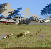 Calmsley Hill City Farm - Accommodation Port Macquarie