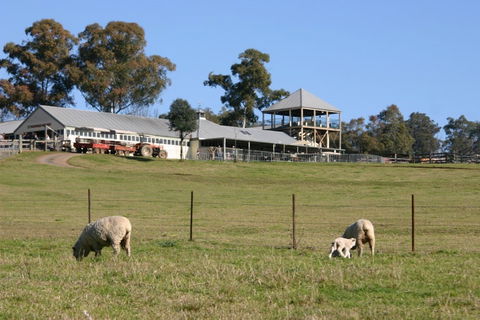 Calmsley Hill City Farm - Accommodation Port Macquarie 0