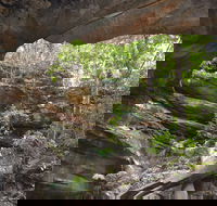 Cave Creek Walking Track - Accommodation Port Macquarie