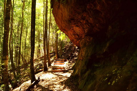 Cave Creek Walking Track - Accommodation Port Macquarie 1