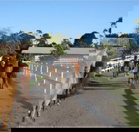 Darkes Forest Riding Ranch - Accommodation Port Macquarie