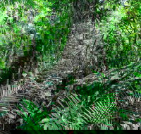 Djiru National Park - Accommodation Port Macquarie
