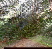 End Peak walking track - Accommodation Port Macquarie
