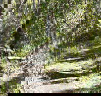 Euglah Rock Walking Track - Accommodation Port Macquarie