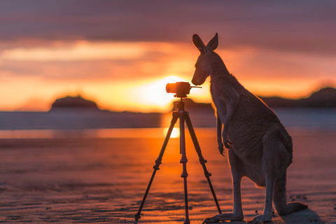 Explore The Mackay Region In Three Days - Accommodation Port Macquarie 0