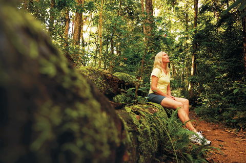 Explore The Mackay Region In Three Days - Accommodation Port Macquarie 1