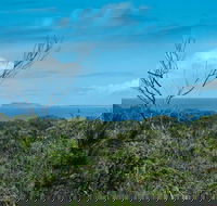 Forest Walking Track Crowdy Bay National Park - Accommodation Port Macquarie