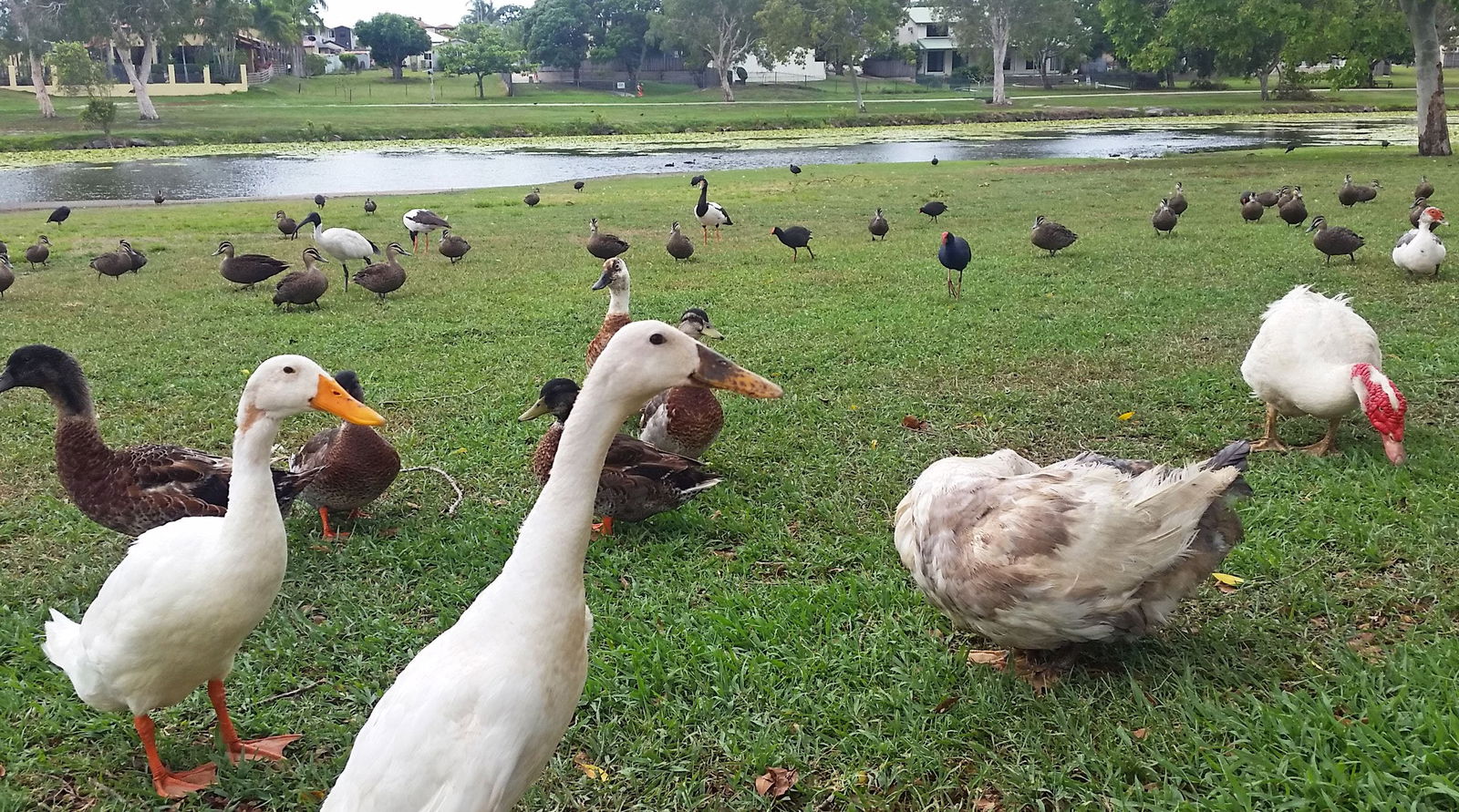  Accommodation Port Macquarie