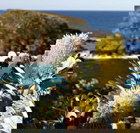 Green Island Walking Track - Accommodation Port Macquarie