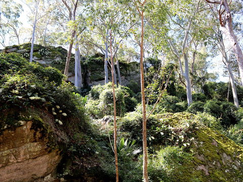Haunted Point Loop Walk - Accommodation Port Macquarie 0
