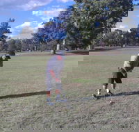Inverell Golf Club - Accommodation Port Macquarie