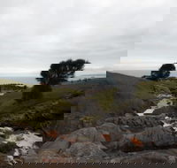 Iron Stone Hill Hike - Accommodation Port Macquarie