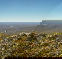 Jerrawangala National Park - Accommodation Port Macquarie