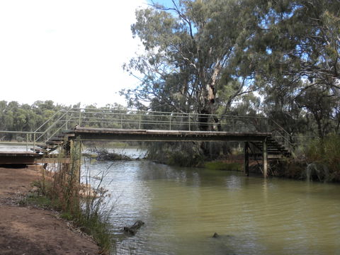 Junction Island Nature Reserve, Canoe Tree And Walking Track - Accommodation Port Macquarie 0