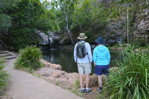 Kondalilla Falls Circuit, Kondalilla National Park - Accommodation Port Macquarie 1