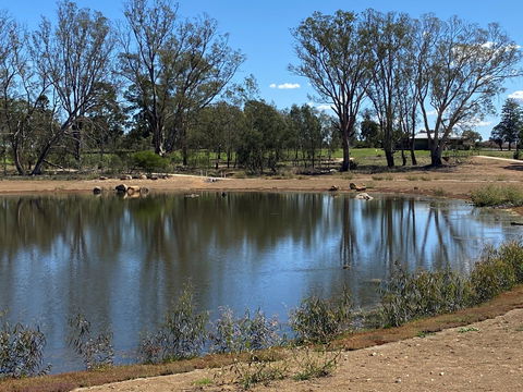 Lake King Wetlands At Rutherglen - Accommodation Port Macquarie 0