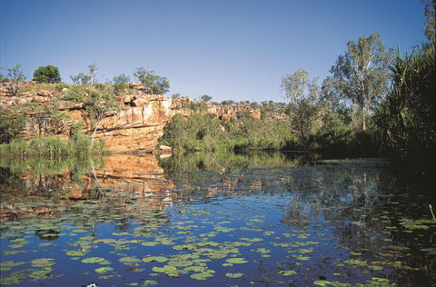 Manning Gorge - Accommodation Port Macquarie 0