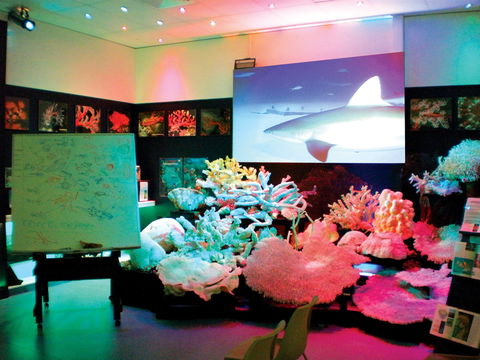 Marine Discovery Centre Hastings Point - Accommodation Port Macquarie 0