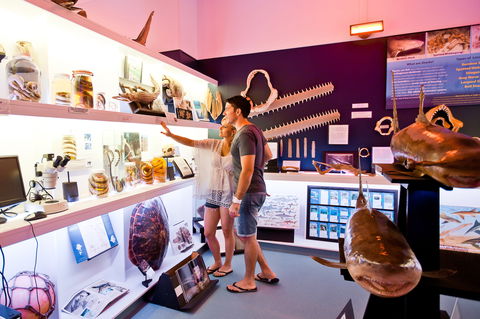 Marine Discovery Centre Hastings Point - Accommodation Port Macquarie 1