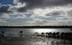 Marine Parade (Hastings Foreshore Reserve) Circuit Walk - thumb 0