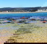 Merimbula Bar Beach - Accommodation Port Macquarie
