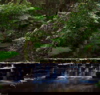 Millards Creek Walk and Cycleway - Accommodation Port Macquarie