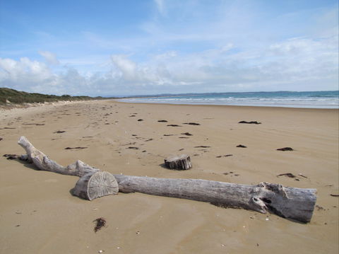 Narawntapu National Park - Accommodation Port Macquarie 2