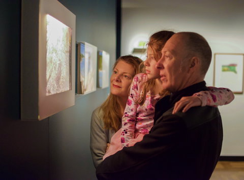 National Library Of Australia - Accommodation Port Macquarie 1