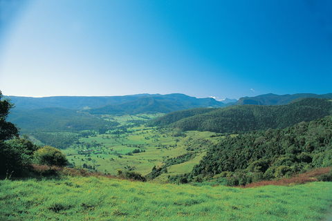 Numinbah Section, Springbrook National Park - Accommodation Port Macquarie 0