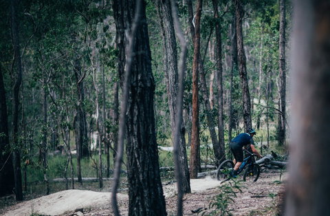 Old Tambo Downhill Mountain Bike Track - Accommodation Port Macquarie 0