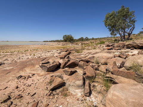 Peery Lake Picnic Area - Accommodation Port Macquarie 0