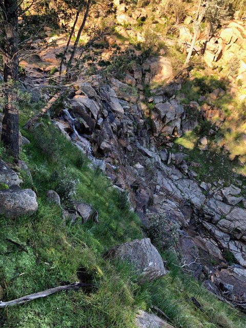 Pine Gully Nature Trail - Accommodation Port Macquarie 0