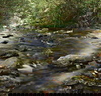 Plateau Circuit Loop Trail - Accommodation Port Macquarie