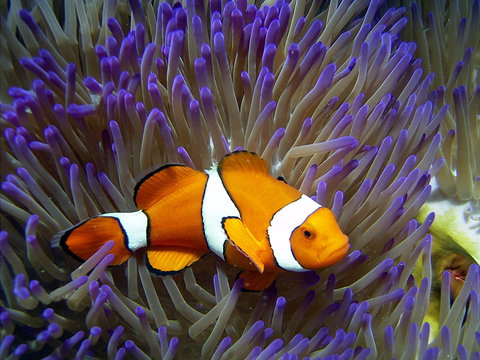 Reef HQ Aquarium - Accommodation Port Macquarie 1