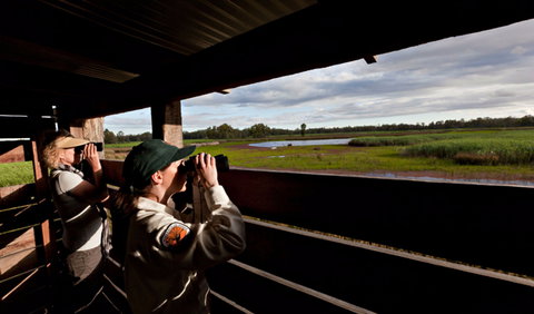 Reed Beds Bird Hide Boardwalk - Accommodation Port Macquarie 0