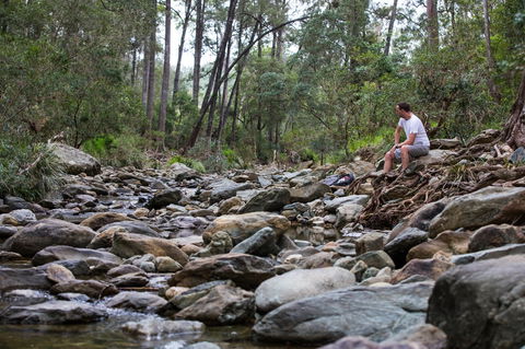 Rocksberg Park Heritage Reserve - Accommodation Port Macquarie 0