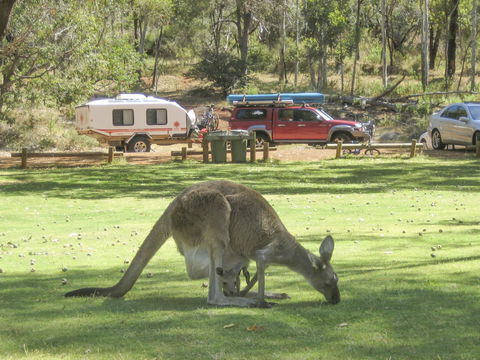 Serpentine - Accommodation Port Macquarie 1