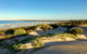 Shelly Beach Dune Walk Trail - thumb 0