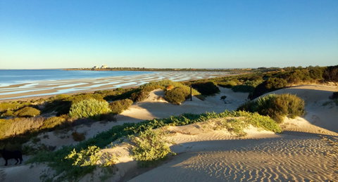 Shelly Beach Dune Walk Trail - Accommodation Port Macquarie 0