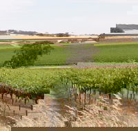 Smidge Wines Tasting Room - Accommodation Port Macquarie