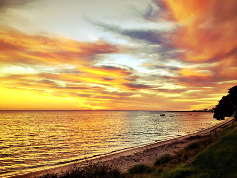 Stansbury Seaside Markets - Accommodation Port Macquarie 2