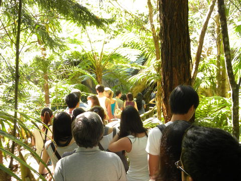 Tamborine Mountain Glow Worm Tours - Accommodation Port Macquarie 1